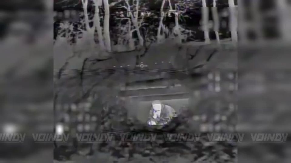 �������� ������ ������ 218 ������������ ��������� ����� 127 ��� 5 ����� ����������� ����� "������" �� ����������� ����� ����, ������� ������������� � ���� ����������