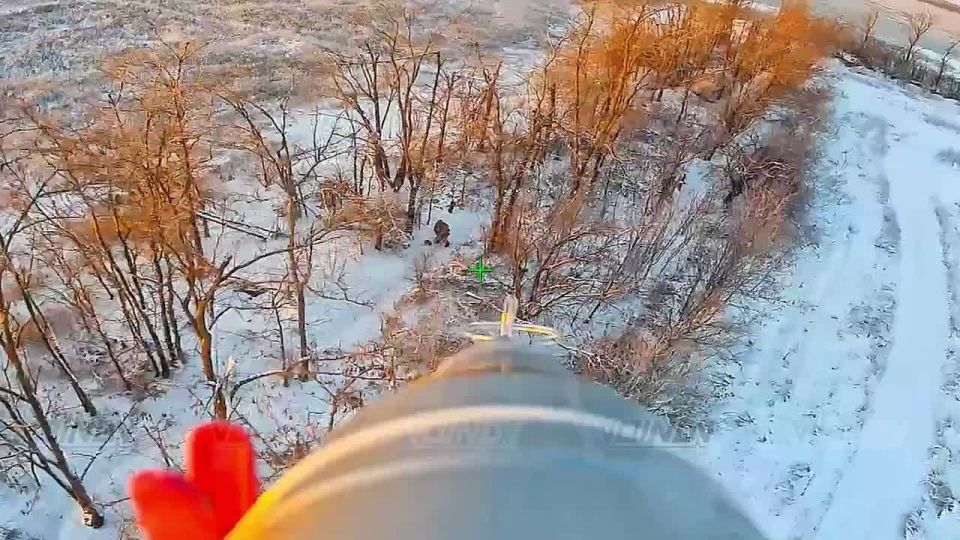 1. ��������� ���� 35 ����� ����������� "������" ���������� ���������� ����������, ���������� ������ � ������� � ���������� �� �����-����