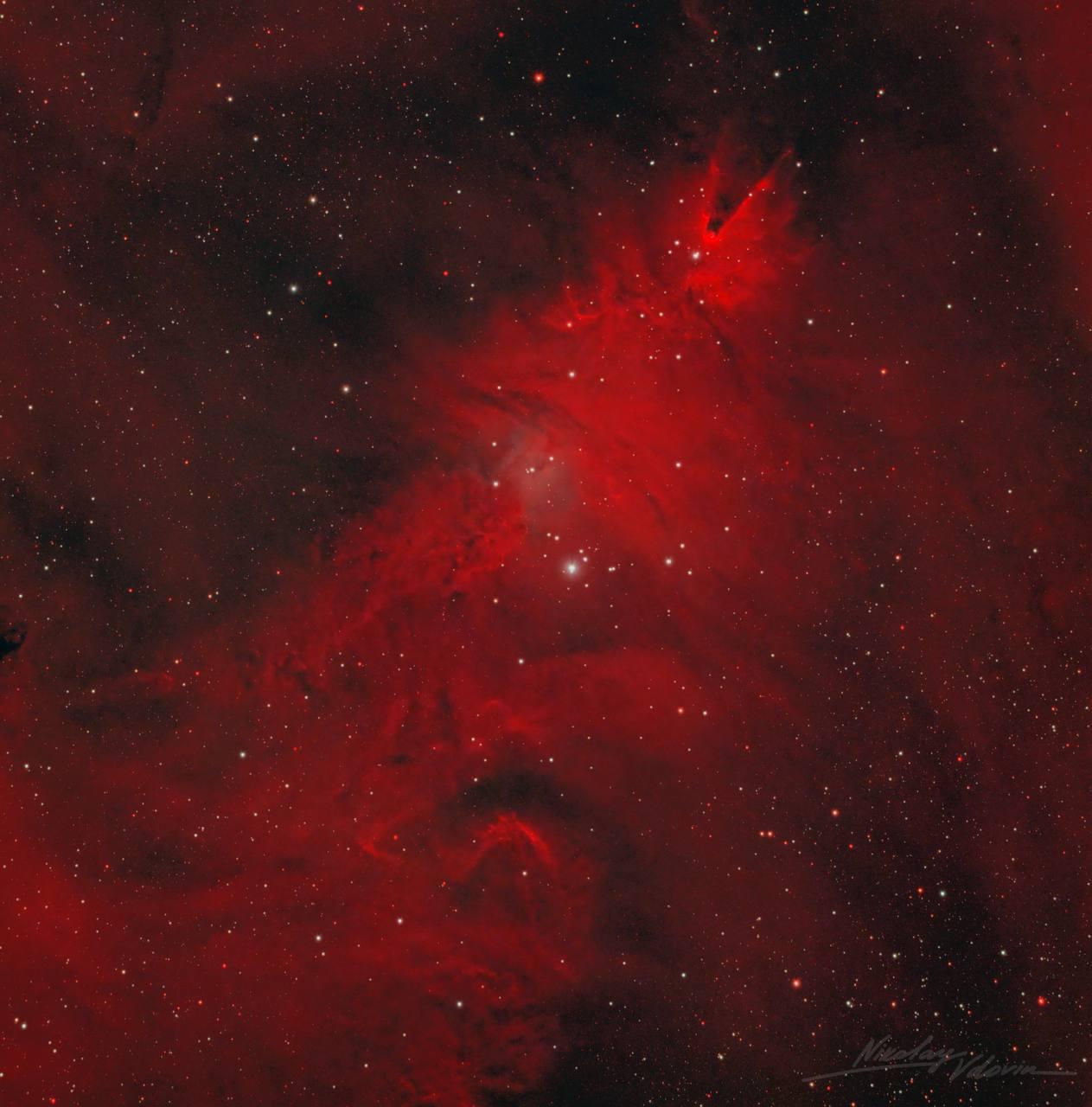 «Рождественская елка» среди звезд: «Роскосмос» показал снимок туманности NGC2264, которая похожа на праздничное дерево