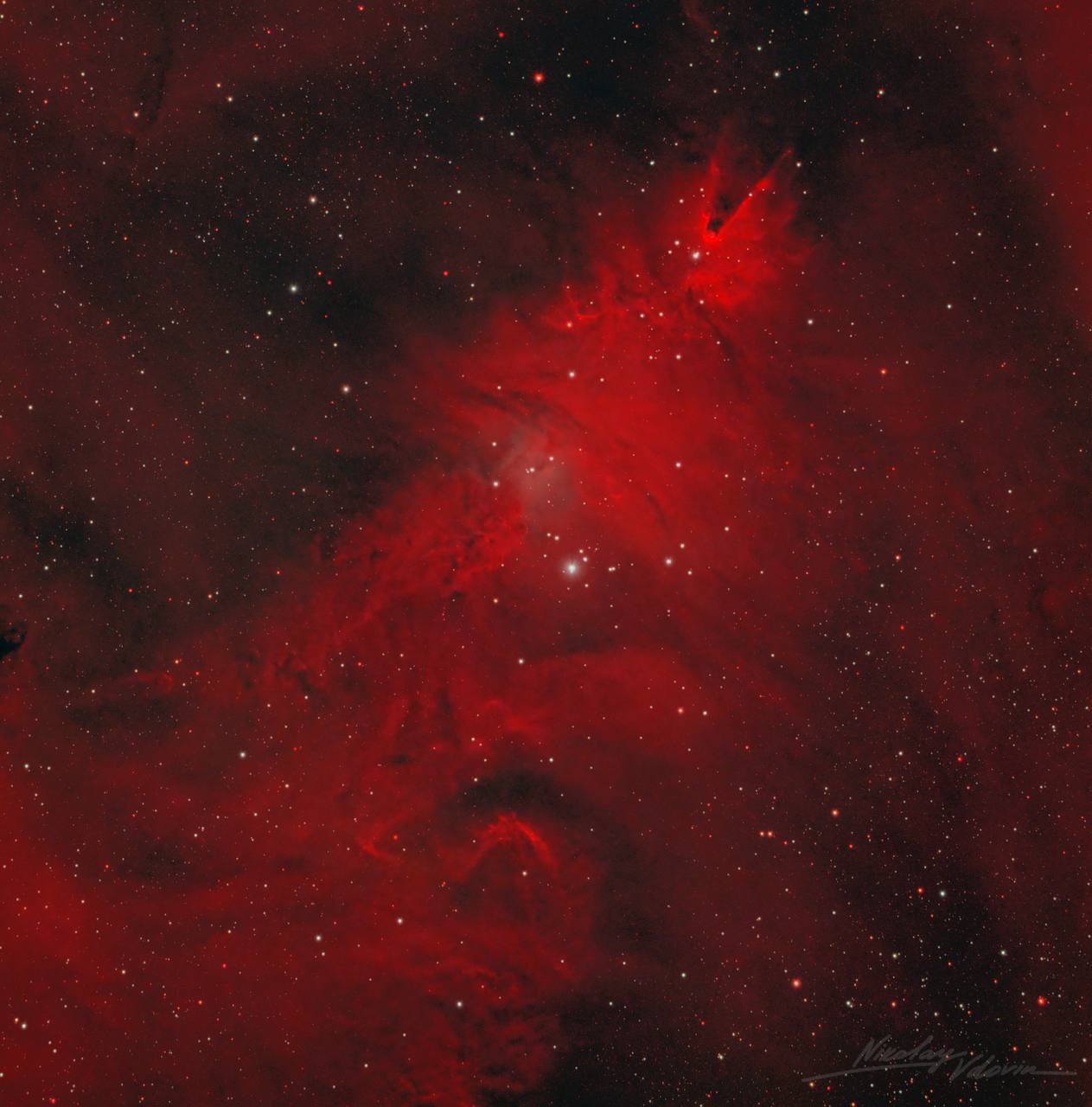 Немного красивого от Роскосмоса — фото красной "Рождественской ёлки"