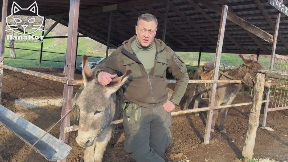 ������� ������ �������������, ��� ����� ��������� ����� �� ������� �� ���������� ������ ����� ������� ������� ���������� ������ �������� �������� ����� �� ����� �������� � �������