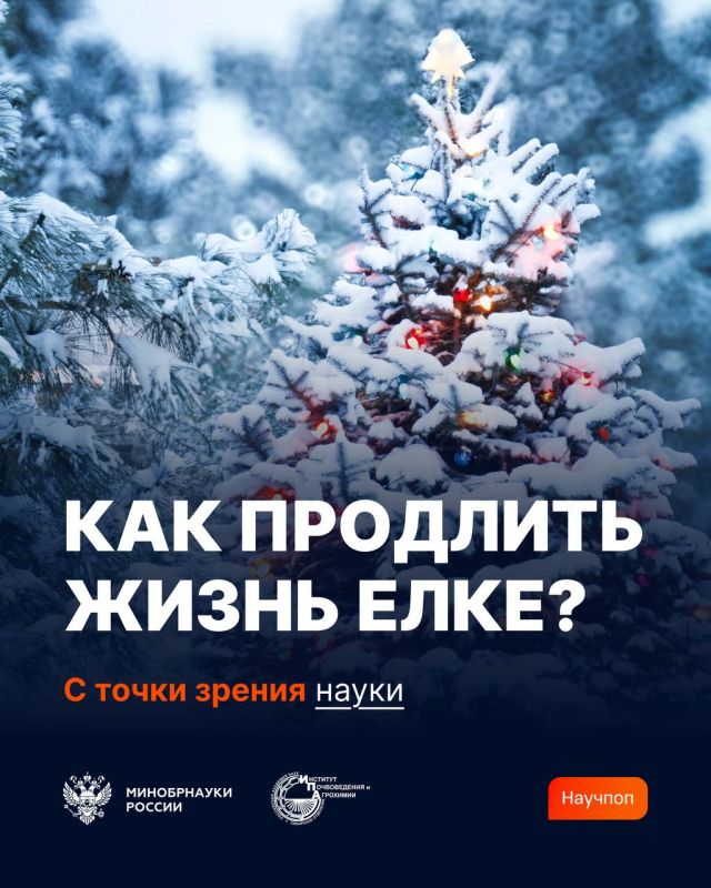 ����� �������, ����� �������