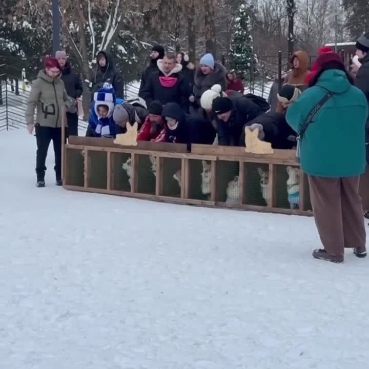 ������� ����� � �����: � ���������� ����� �������� ������ ������ �����, � ������� ������� ������� 50 �������� ������������