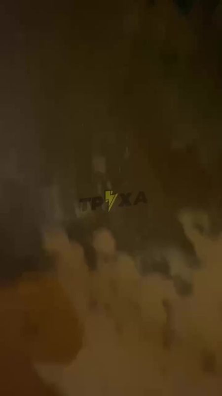 ���� �����.. ����� ������ �� ������������� ������� ���� � ������ �������� ������ ����