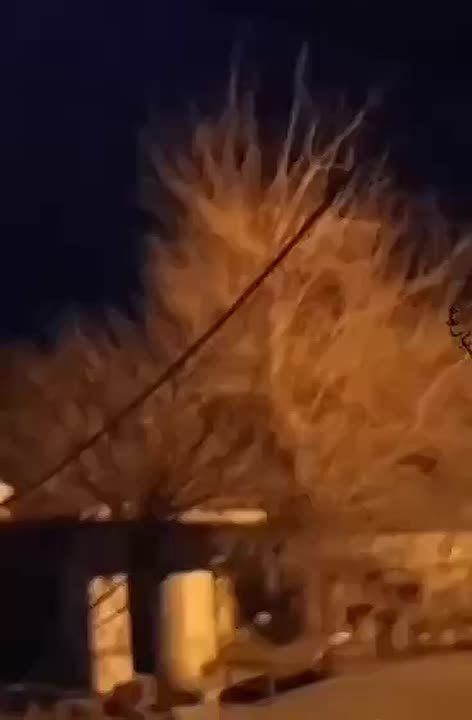 ������� ������� �������� �� ��������� ���� ������������ ������� � ������, ����� ����� ��������� �������� �������