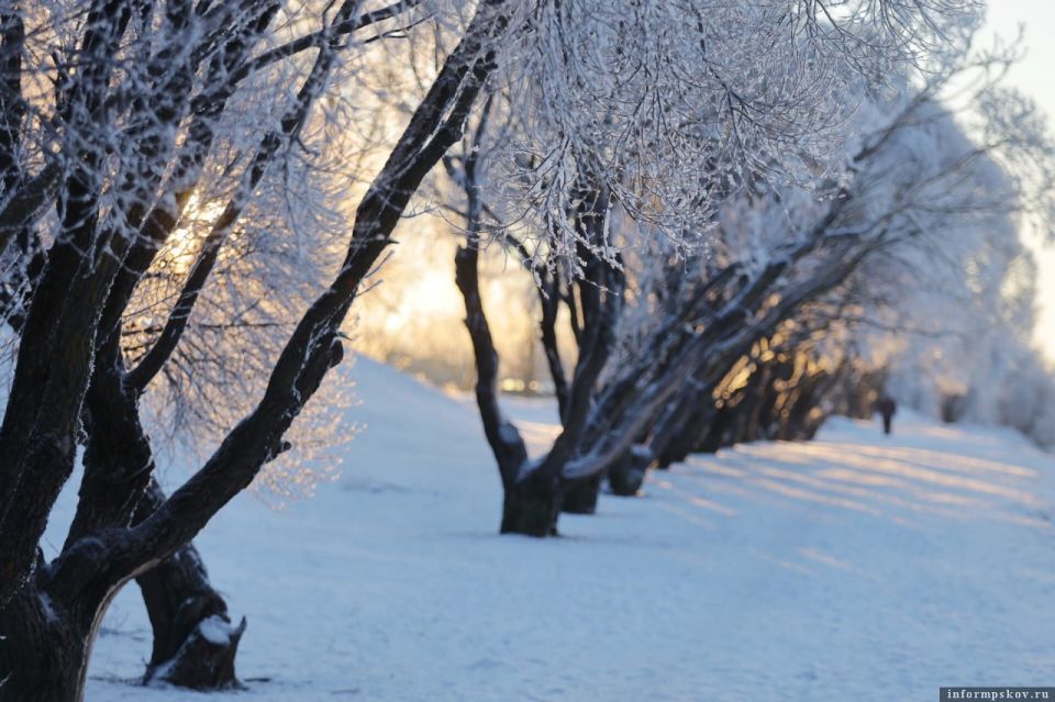 Одевайтесь теплее! В Псковской области – рождественские морозы