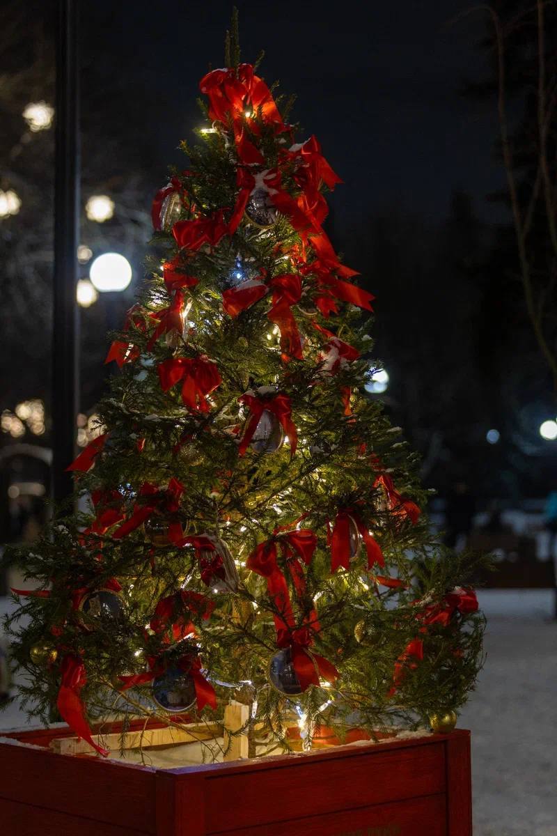 Михаил Ведерников: Проект «Рождество начинается здесь» стартовал в Пскове, но все наши муниципалитеты активно включились в его реализацию Михаил Ведерников: Проект «Рождество начинается здесь» стартовал в Пскове, но все наши муниципалитеты активно включились в его реализацию