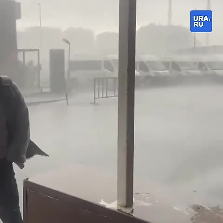 ����� �����, ����� ������� �� ����: � ������ ������ ������ � ������� �����, ����������� ����� �� ���������, ����������� � ��������, ��� ���� ������������