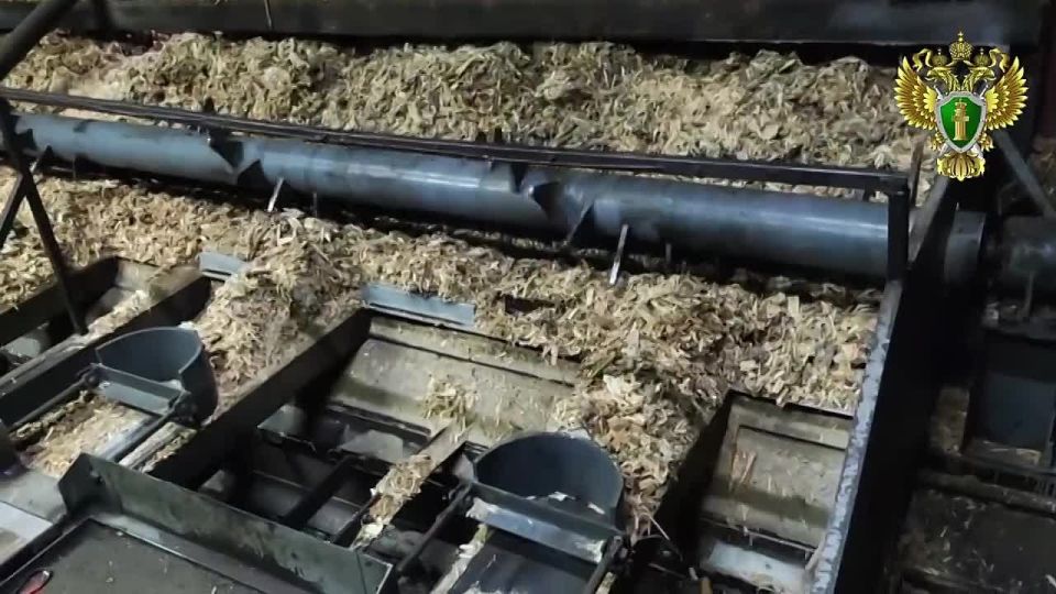 Прокурор Плюсского района контролирует проверку в связи со сбоями в подаче тепла