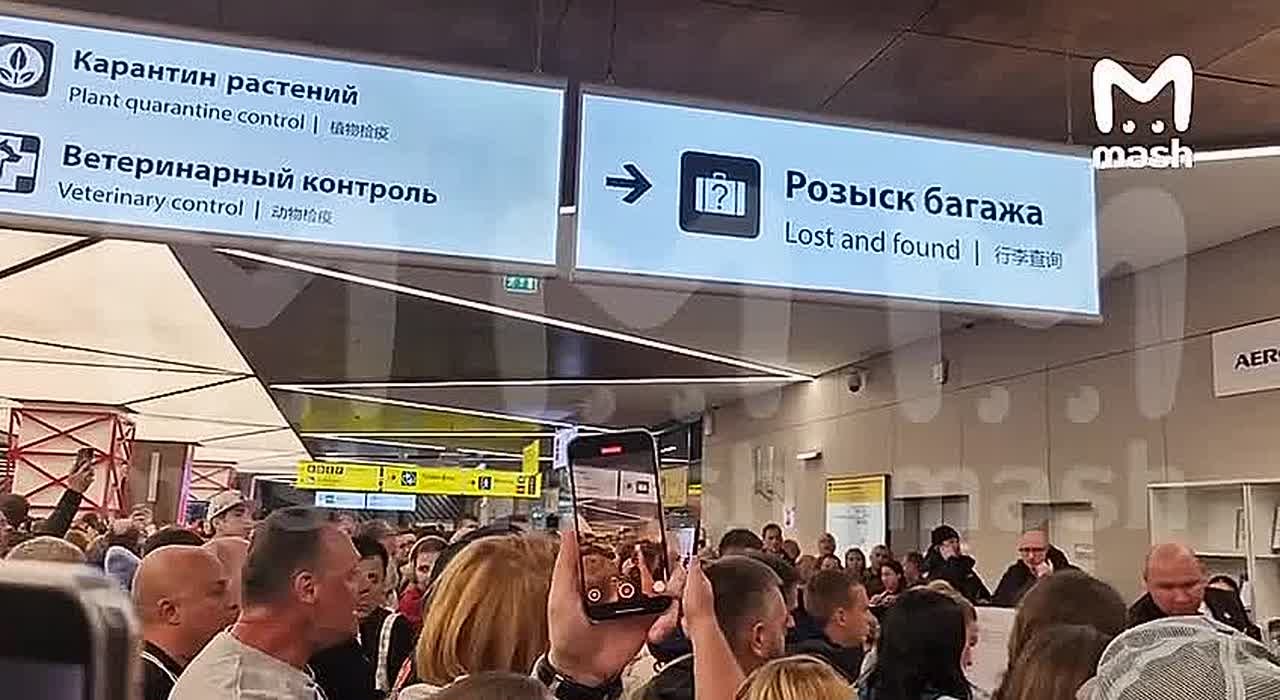 Тысячи людей в московских аэропортах не могут получить свой багаж — из-за циклона "Фрэнсис" в авиагаванях не выдают часами чемоданы