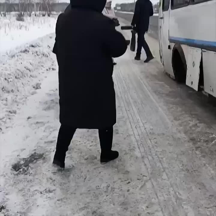 Рейсовый автобус потерял колеса на ходу в Омской области