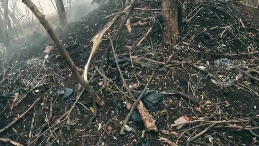 Зачистка опорника на Краснолиманском направлении