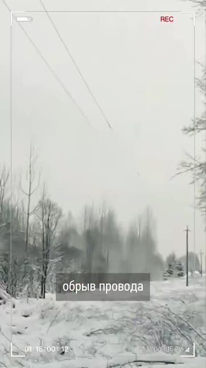 Вера Кондратьева: ЭНЕРГЕТИКИ ЛИКВИДИРУЮТ ПОСЛЕДСТВИЯ ВЕТРА И МЕТЕЛИ