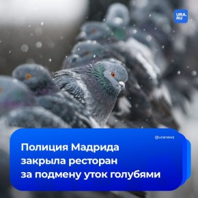 ������� ������� �������� ����������� ��������� � ������� ������ ����