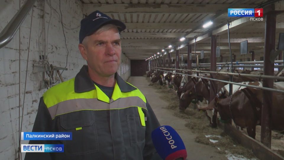 ����, ���� � �� ������. ��� �������� ������������ �������� � ���������� ������?