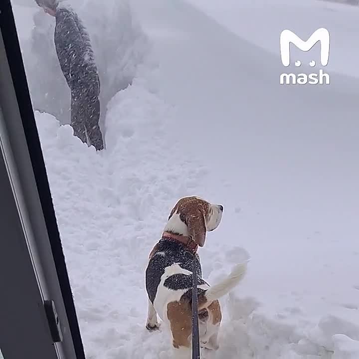 +100 баллов находчивости к папищекам из Камчатки, где уже две недели бушует снежный апокалипсис