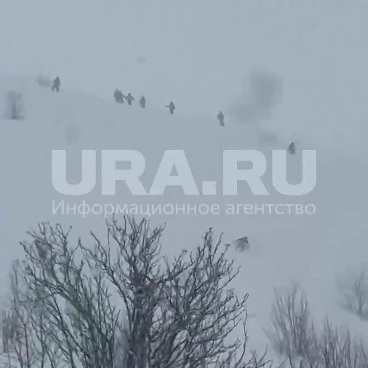 Лавина сошла на туристов в Грузии