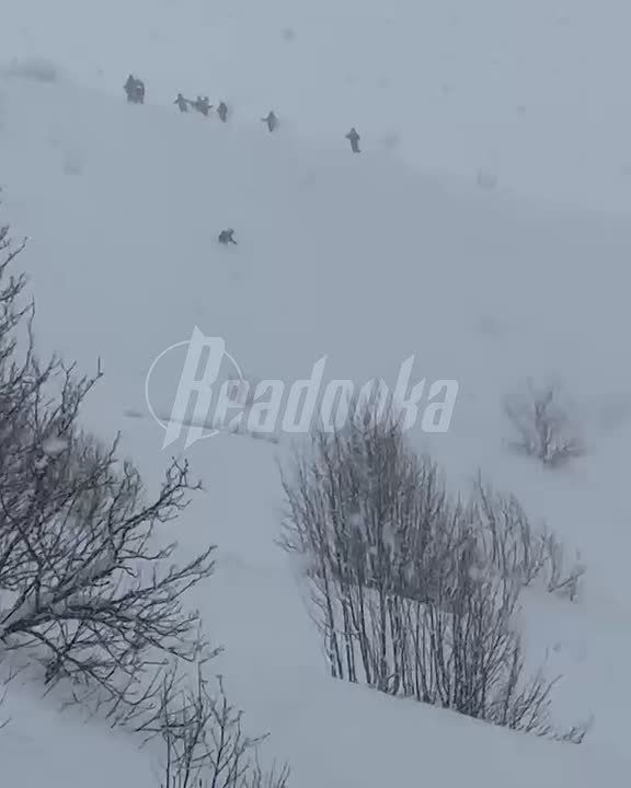 Снежная лавина сошла на русских туристов на курорте в Грузии — 2 человека пострадали