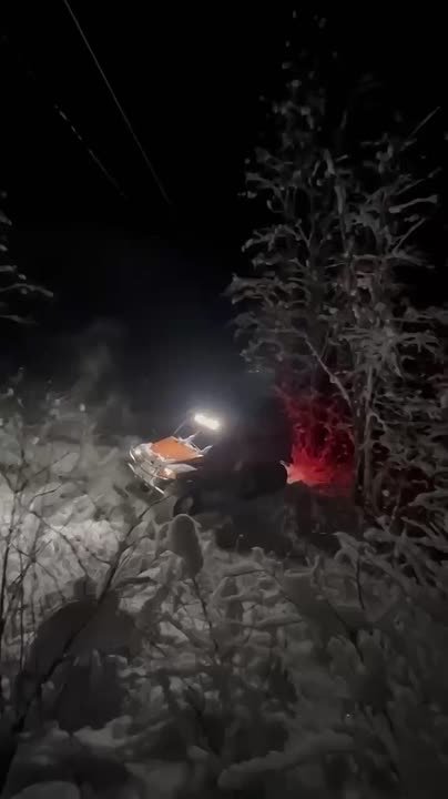 Энергетики восстановили 8260 км ЛЭП в Псковской области после непогоды