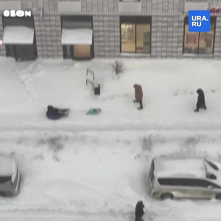 Собачьи упряжки и лыжи: такова сейчас ситуация в Москве