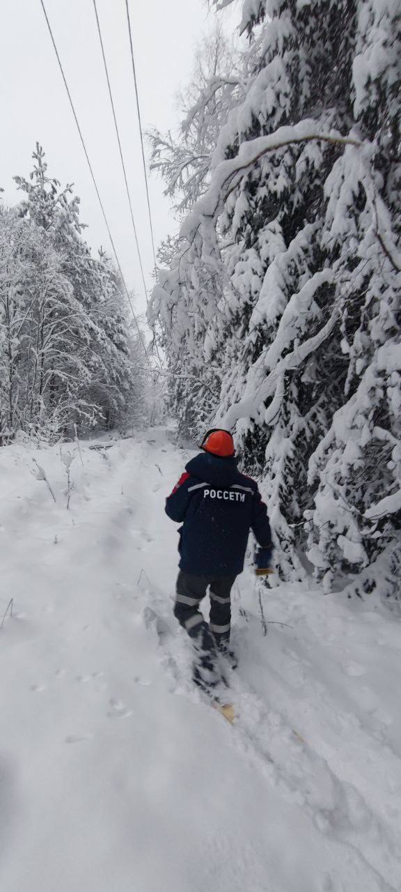 Энергетики восстановили 8260 км ЛЭП в Псковской области после непогоды Энергетики восстановили 8260 км ЛЭП в Псковской области после непогоды