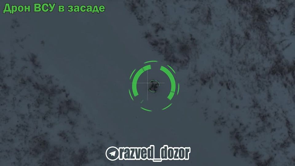 �������� ����������������� ���� ����������� "�����" ������ �������������� ���������� FPV-����� � ������ � ������� ��� ������ ������� ����