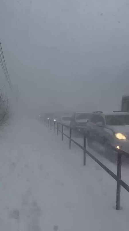 ����� �� ������� ������ �������� ������ �����������