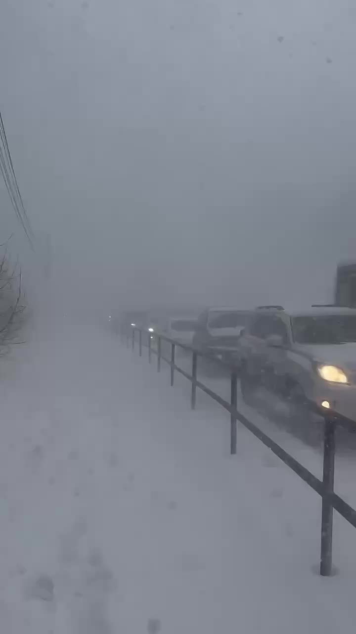 Вслед за Москвой мощный снегопад накрыл Владивосток
