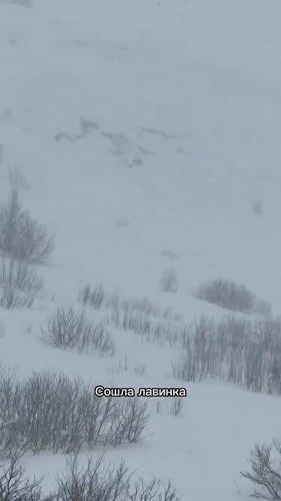 Туристы попали под лавину у вершины Тетнульд в Грузии
