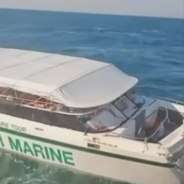 18-������ ��������� ������� � ���������� �������� ������ � ��������