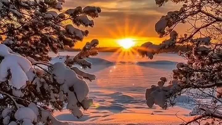 ���� �����������: ������� ������� ������. ������������� ������� �������� � �������� ������ ����