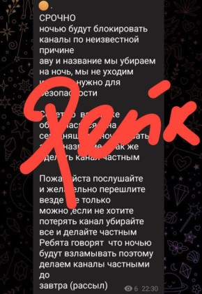 Екатерина Мизулина: Как же легко вы верите любой провокационной рассылке