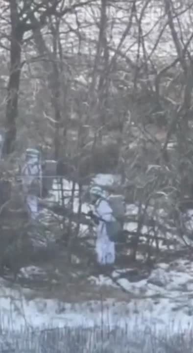 ДРГ противника пыталась тайком пробраться на наши позиции но что-то пошло не по плану