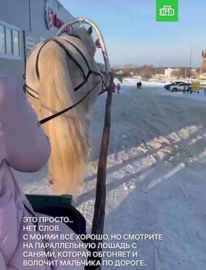 ���� �� �������� ���� �� ����������� ��������� � �����