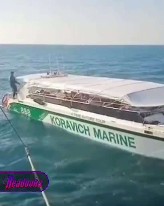 ����� � ���������������� ��������� ������� � �������� � ���� ������������