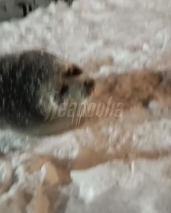 �������������� ������ �������� ����� ���������� ������ � ������ � ���������� �������