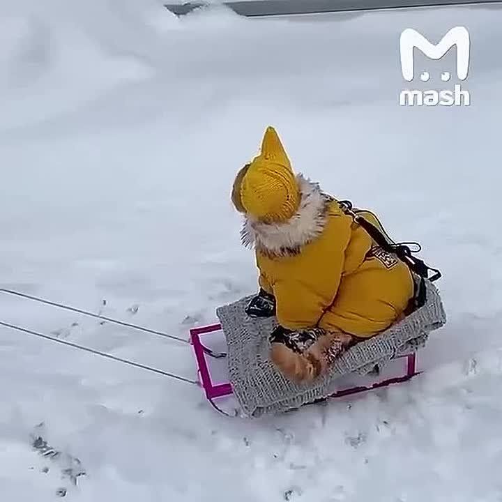 ������������� ������ � ���� � ������ ������� ���� ����