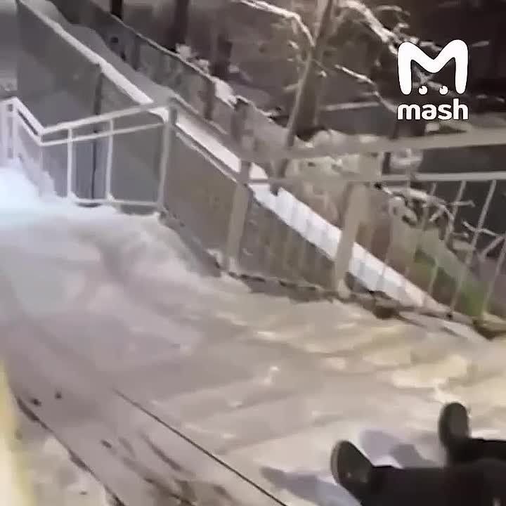 �������� � ����� ��������� ������������ ����������� � �� ��������� � ����������� 27 ������� ���������� �� ����� ���������, � ��� ������� � 17