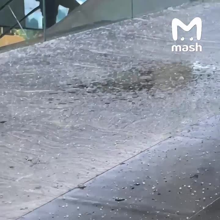 ������ ������� ���������� ����� � ����� "���������" � ���� �� ������� ��������