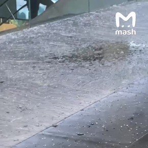 ������ ������� ���������� ����� � ����� "���������" � ���� �� ������� ��������