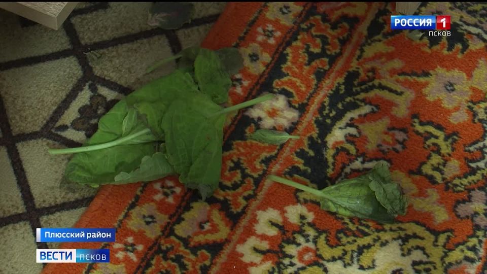 ��������� ���� � ���������� �� ����� ������������� �������������� ����� �������� ���������� ����� ��������� ������� � ������������ ������������� �������� ������ ���������� ����������