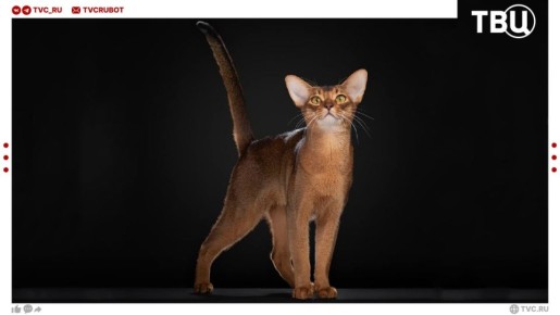 ����� �� ������ ������� ����� �������� � ����!