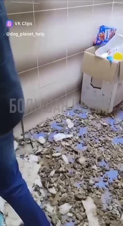 ���������� ������ � 30 ������ ��������: ������������ ��������, ��� �������� �� ���������� ������� ������ ������ �������� ������������� � �����