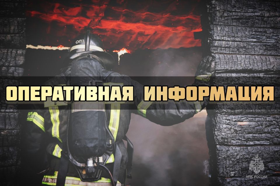 #���������������������. �� �������� ����������� �������� ��� �������-������������ ������������� ��������� ������� ����������� �� 46 ����������� �������