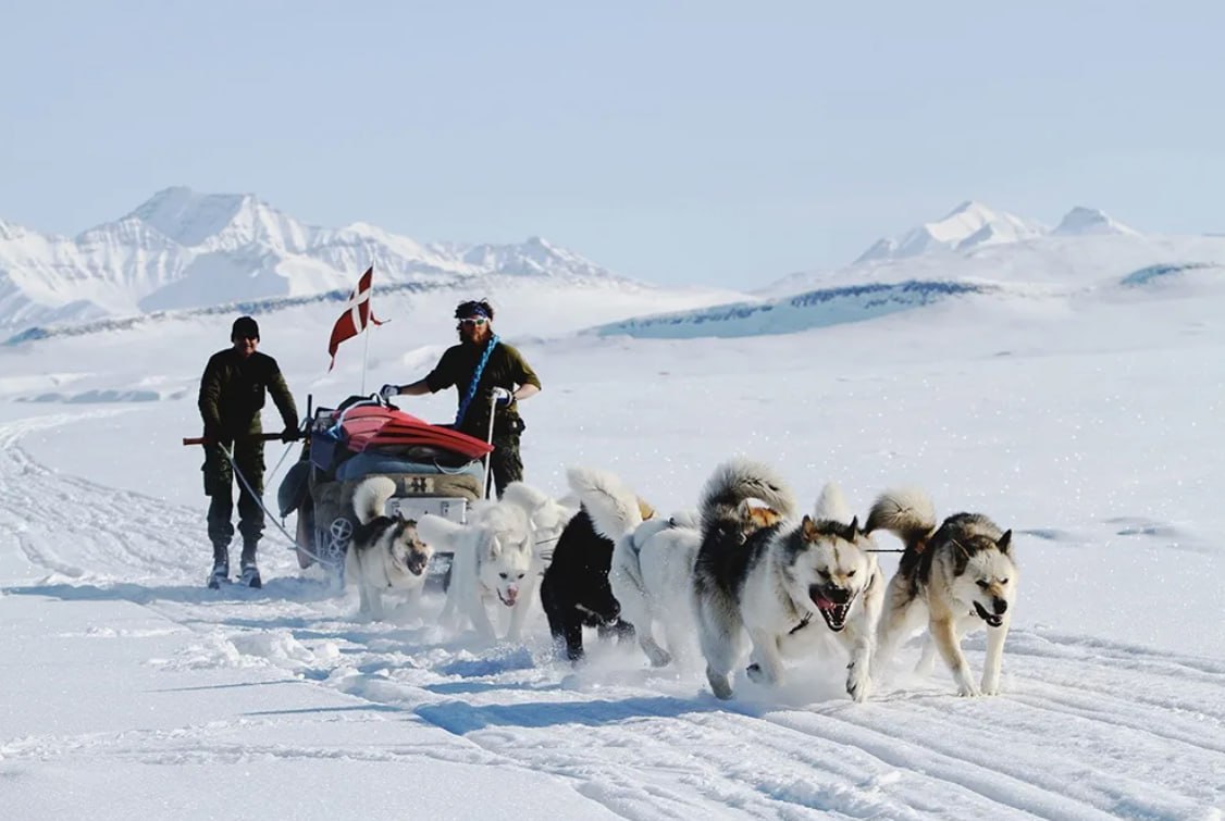 Юрий Подоляка: Дания больше всех помогала Украине и потому и первой потеряет свою территорию