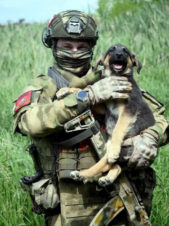 Моменты СВО. Будни фронта Моменты СВО. Будни фронта