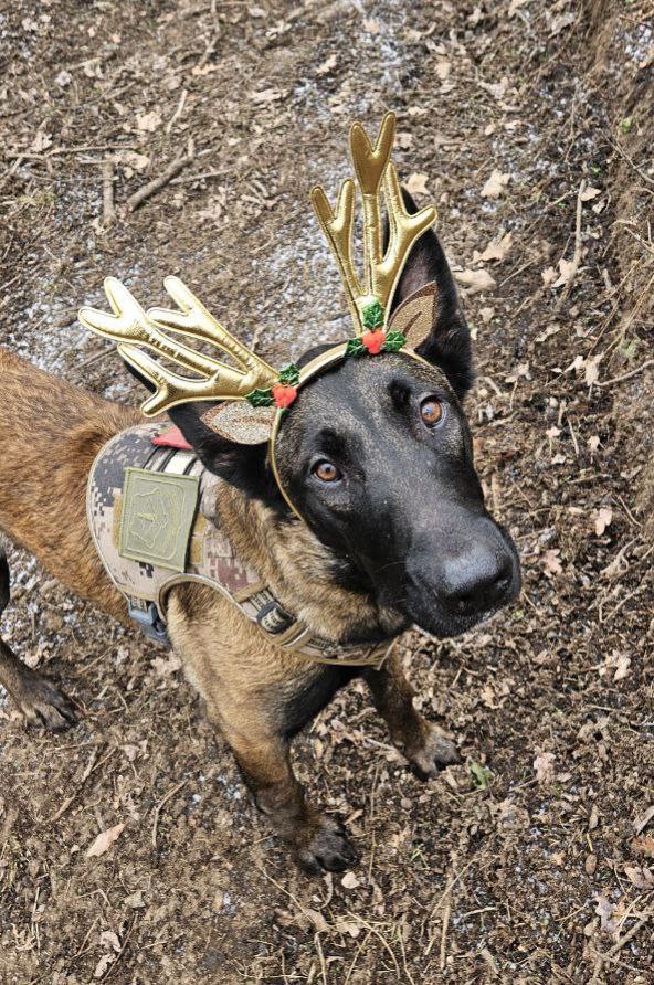 Моменты СВО. Будни фронта Моменты СВО. Будни фронта