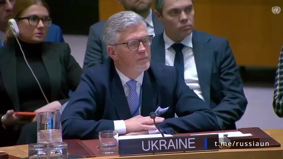 Артём Шейнин: Постпред России в ООН Василий Небензя: