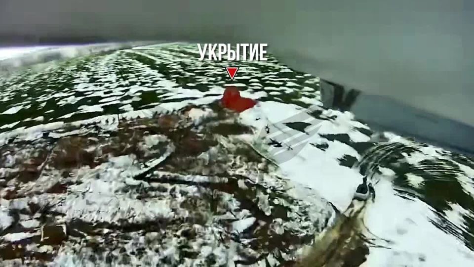 ����� �� �����������, ���, ��������, ������� ����� � ������ ������� ������� ���