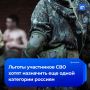 Льготы участников СВО намерены дать части специалистов, работающих в новых регионах
